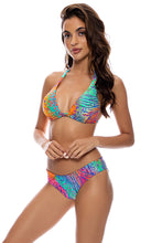 WILD WATERS - Triangle Halter Top & Seamless Full Ruched Back Bottom • Multicolor